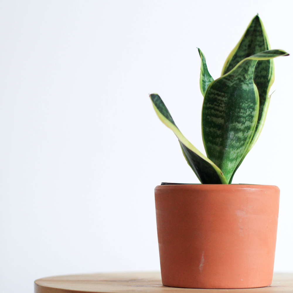 革新的な治療方法